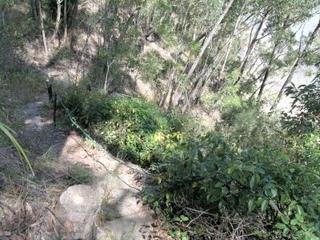 Path to beach