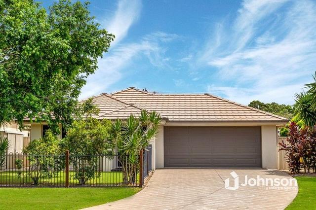 23 Treetop Place, QLD 4179