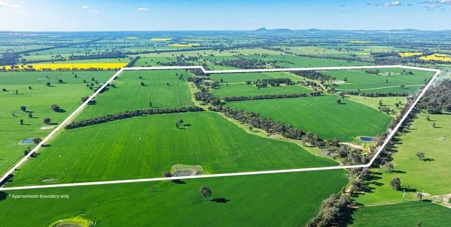 'Blossom Farm' Klemkes Road, NSW 2658