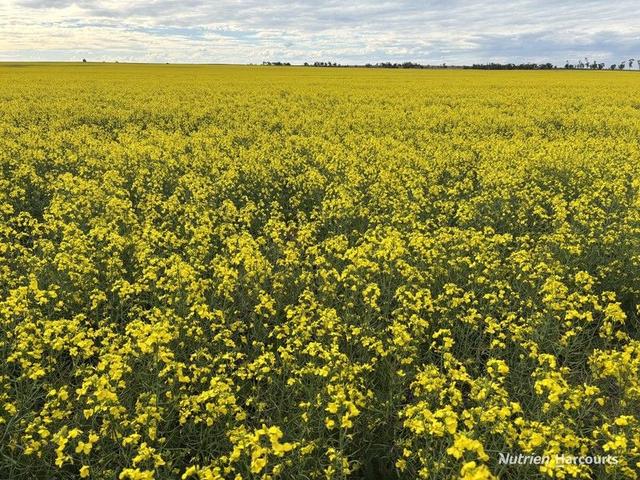 . 'Yetelling', WA 6477