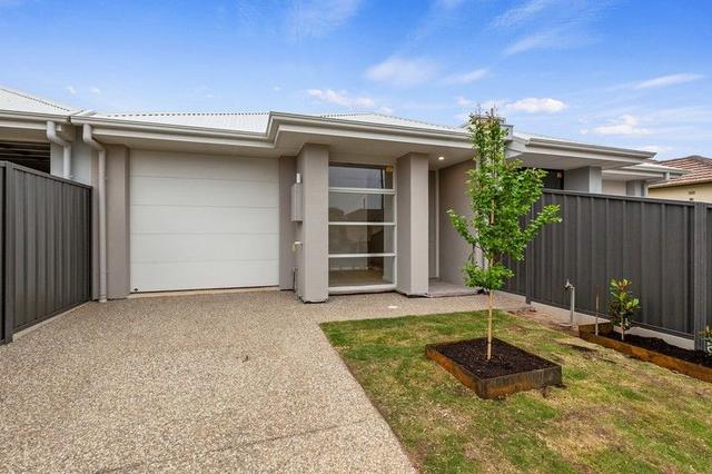 44A Jervois Street, SA 5038
