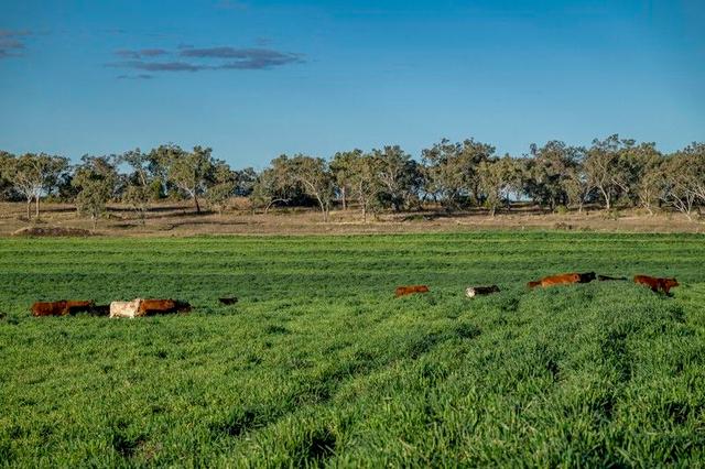 127 Flemings Road, QLD 4403
