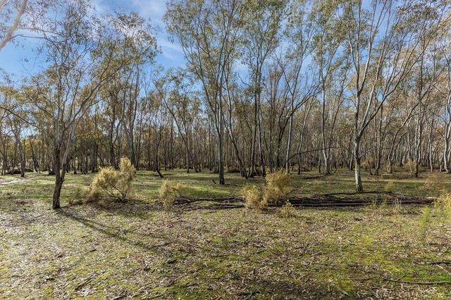 Wilson Road, VIC 3523