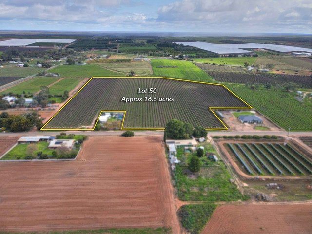 Lot 50 Chowilla Street, SA 5341