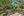 30 Redfern Street, Cook ACT 2614, Cook - Thumbnail 7