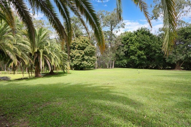 153 Worongary Road, QLD 4213