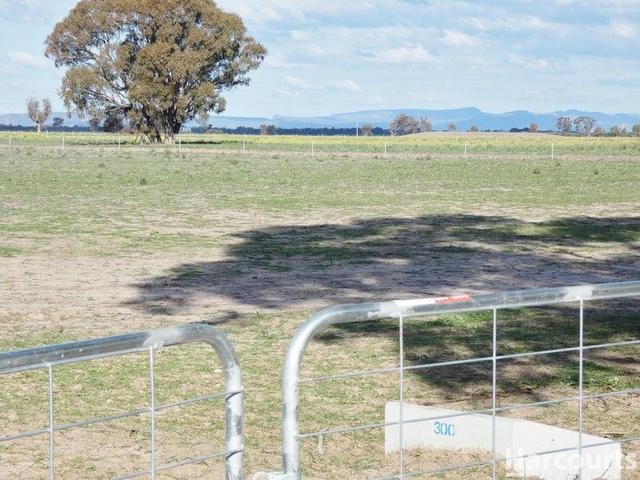 355 Old Hamilton Road, VIC 3401