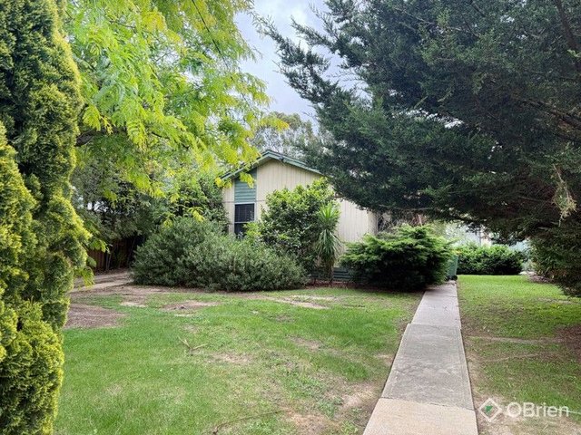 25 Cameron Crescent, VIC 3875