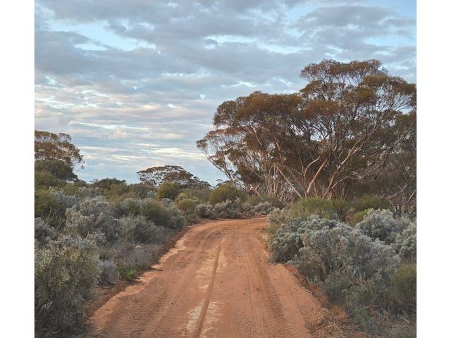 1 and 2 Thiele Highway, SA 5374