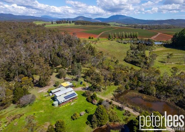 338 Gillespies Road, TAS 7260