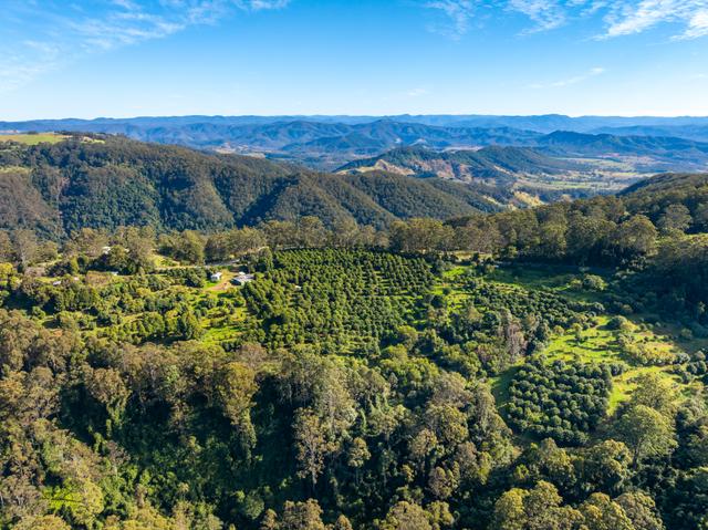 480 Ponsfords Road, NSW 2429