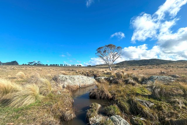 Stoney Ridge Road, NSW 2622