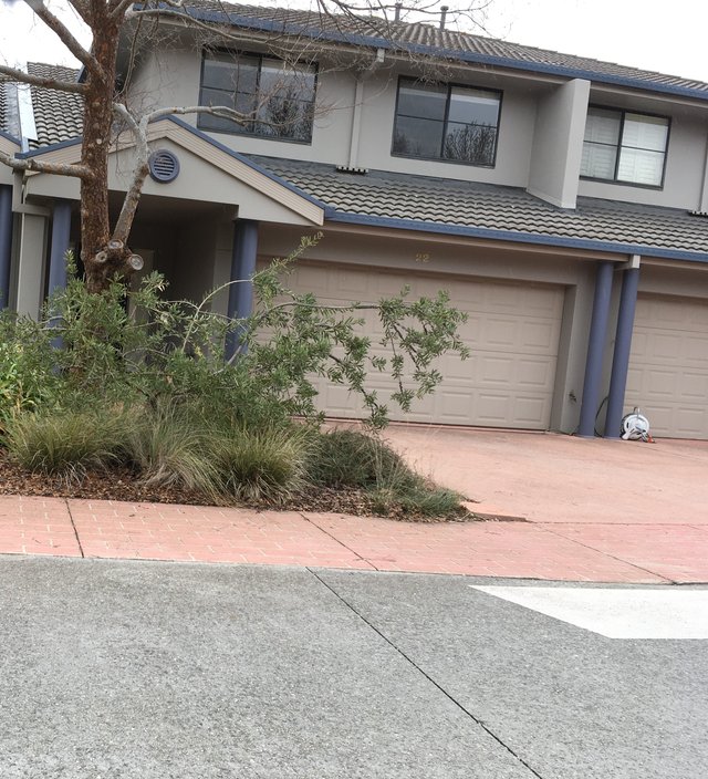 Real Estate for Rent in Lyneham, ACT 2602 Allhomes