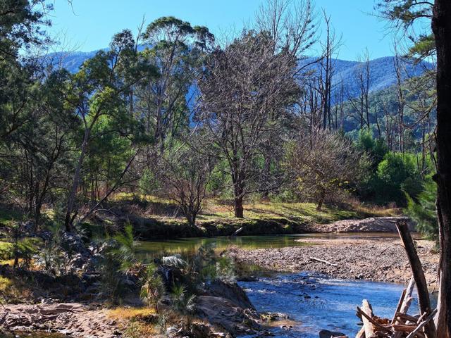 Lot 4 Araluen Road, NSW 2622