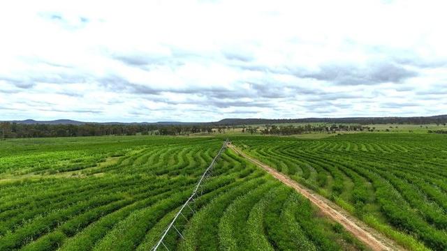 Lot 55 & 79 Burnett Highway, QLD 4627