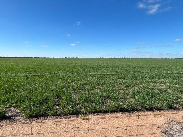 Massey-Bangerang Road, VIC 3482