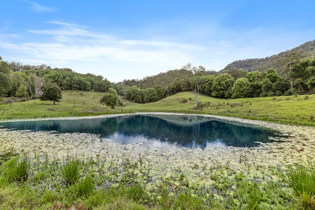 (no street name provided), NSW 2484