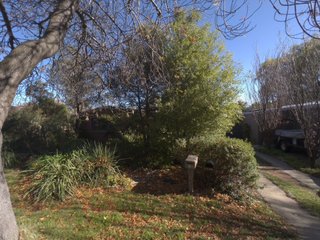 Frontyard