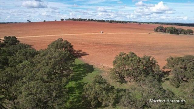5428 Brand Highway, Boonanarring, WA 6503