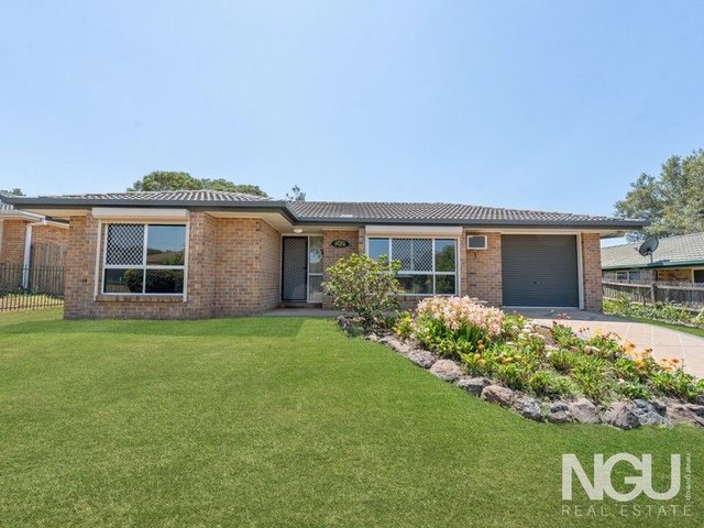 4 Caribou Drive, QLD 4305