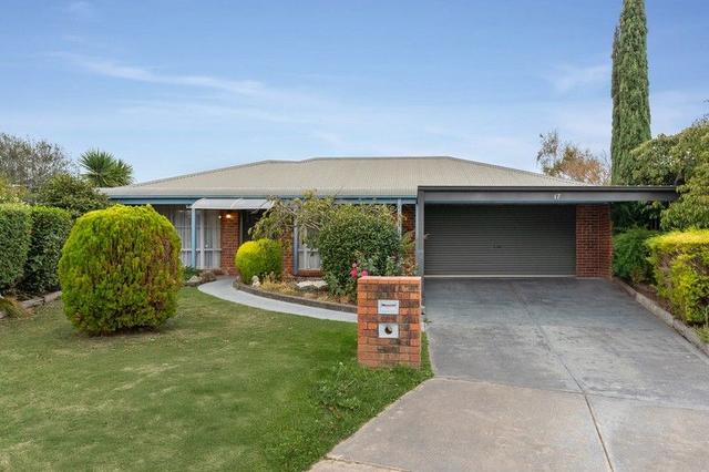 17 Wildwood Court, VIC 3977