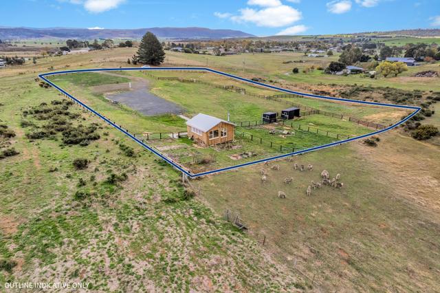 51 Waterloo Street, TAS 7209