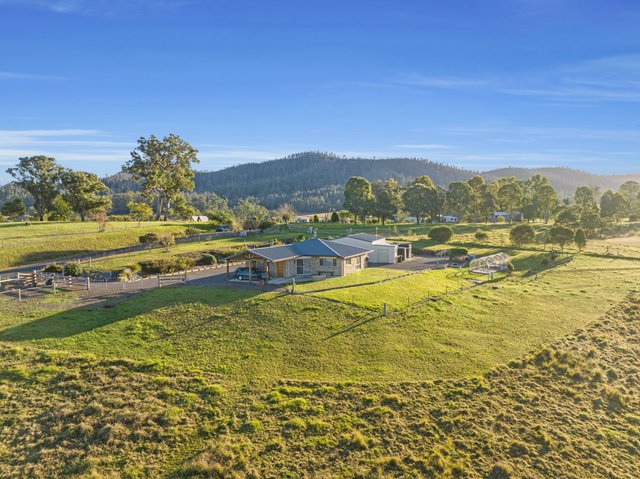 8 Blackbutt Drive, NSW 2550