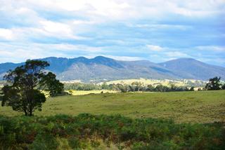 Mountain Views