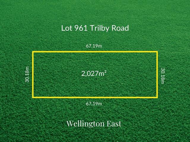 Lot 961/null Trilby Road, SA 5259