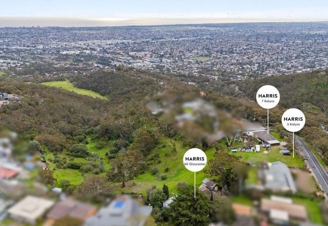 60 Gloucester Avenue, SA 5052