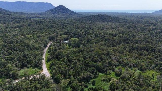 Lot 81 Cape Tribulation Road, Diwan,, QLD 4873