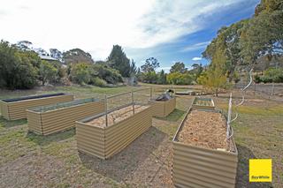 Veggie Garden (2019-10-11)