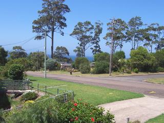 View (2006-02-10)