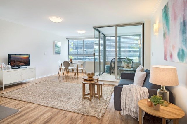 19/510 Miller Street, NSW 2062