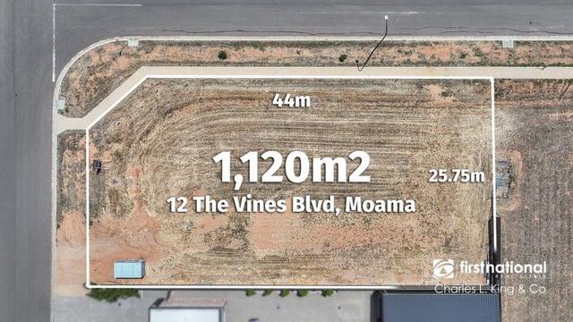 12 The Vines Boulevard, NSW 2731