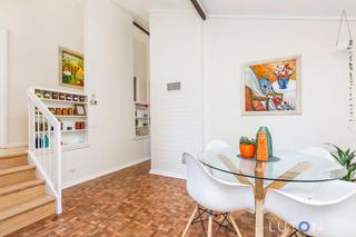 21Angophora_20191112-7.jpg (2019-11-14)