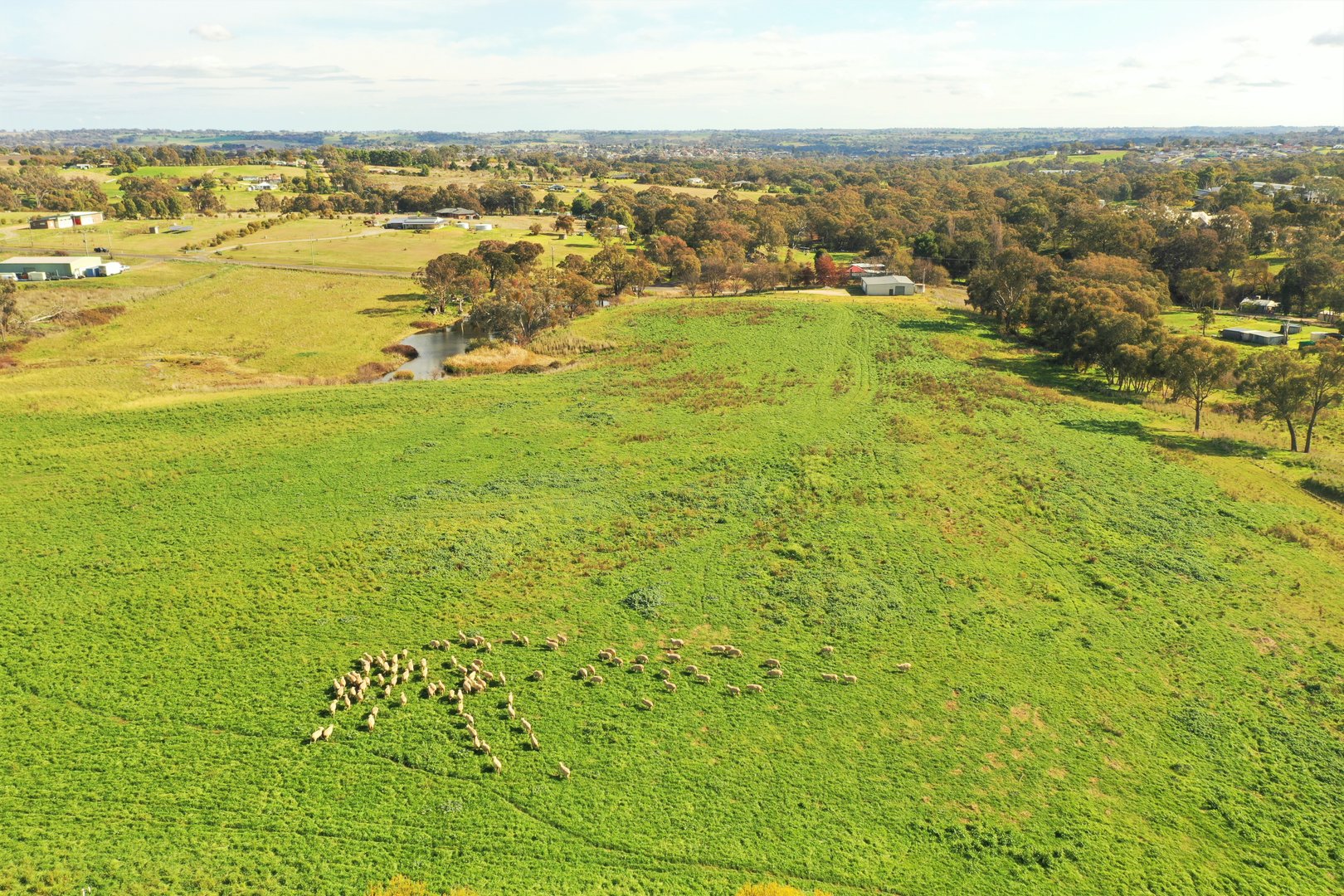 1221 & 1222 Bourkes Lane, Young NSW 2594 Allhomes