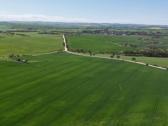 1 Slaughterhouse Rd, SA 5401