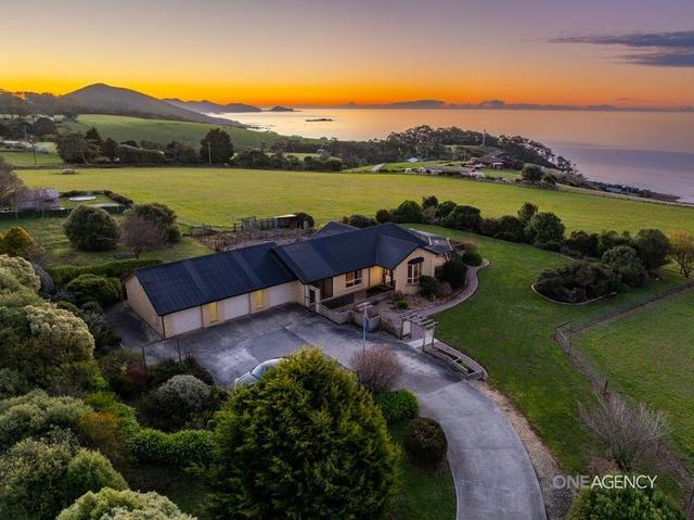 24 Pokes Road, TAS 7321