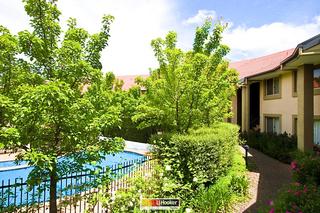 Frontyard (2010-11-16)