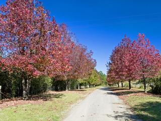 001 - Open2view ID180937 - Coal Drakes Lane_Hannam Vale NSW 2443