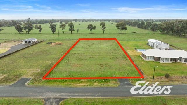 33 Adam Close, NSW 2647