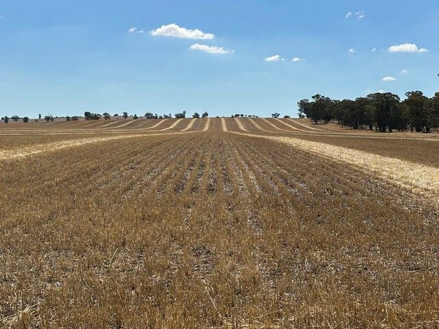 Lot 1 Tootool Mittagong Road, NSW 2655