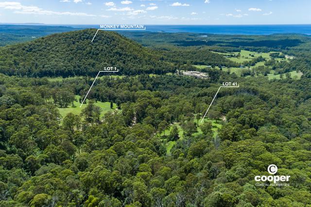 Lot 1 Monkey Mountain Road, NSW 2539