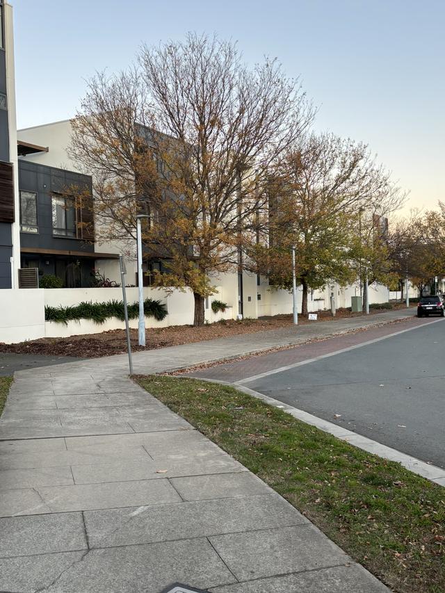 87/31 Wentworth Avenue, ACT 2604