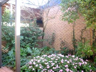 Garden (2003-05-28)