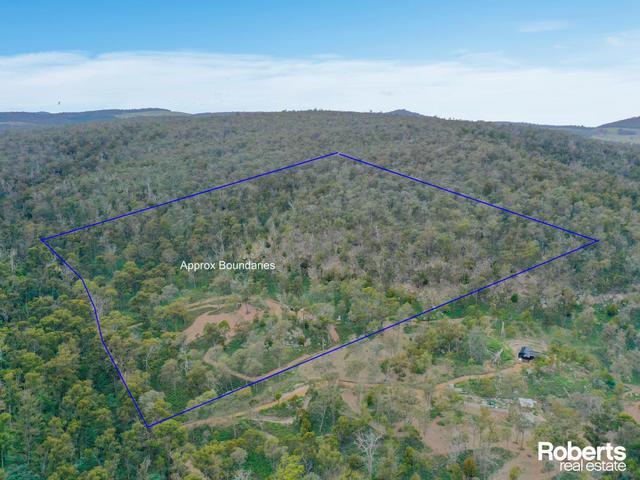 Lot 1 Marked Tree Road, TAS 7140