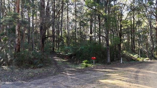318 Old Ocean Road, VIC 3238