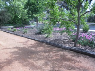 Frontyard