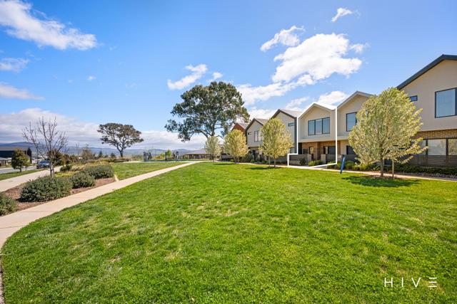 31 Cameleer Lane, ACT 2615